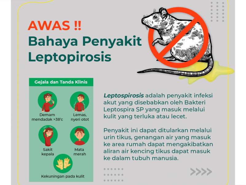 Saat musim hujan tiba, selain demam berdarah ada penyakit lain yang harus diwaspadai loh..